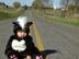 Halloween3_72x54_c