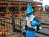 Dsc05072-045_72x54_c