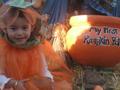 Halloween-025_120x90_c
