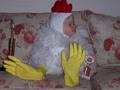 Chicken2_120x90_c