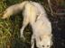 Image003_72x54_c